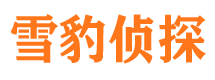 虞城外遇调查取证